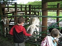 Kids_Hoofarm_2012 (64) 